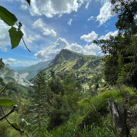 The Ella Valley Luaran gambar