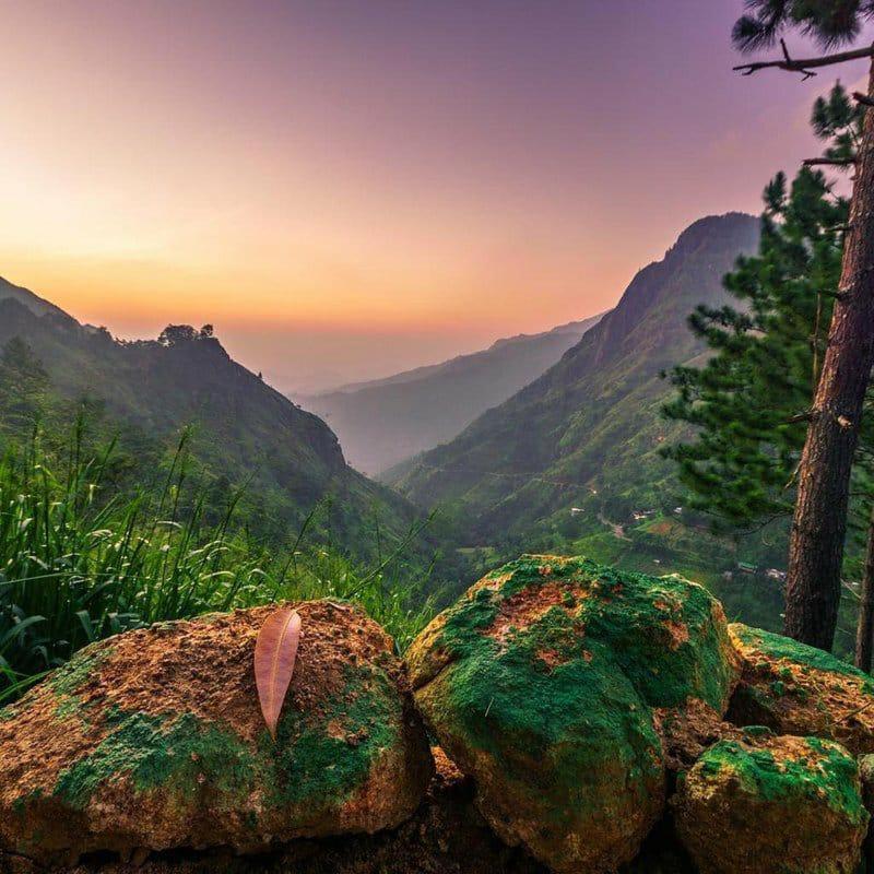 The Ella Valley Luaran gambar