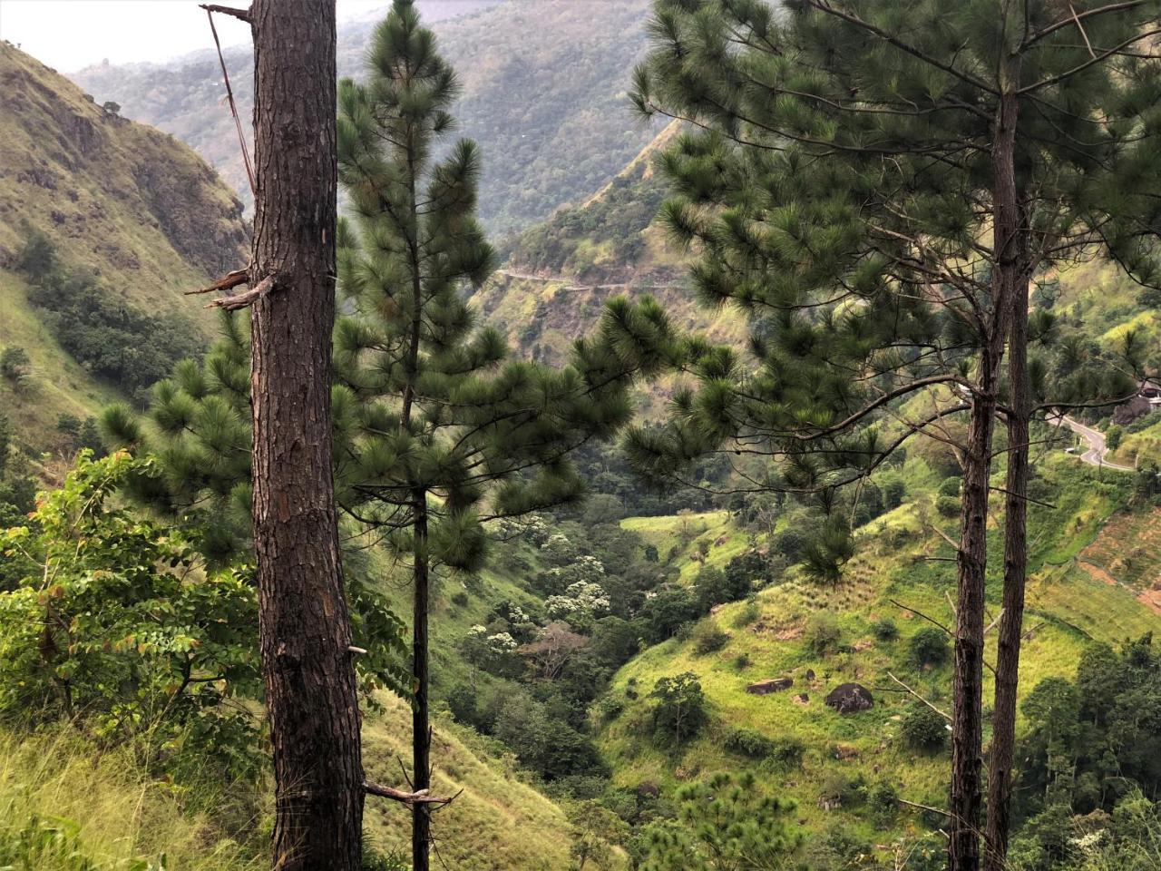 The Ella Valley Luaran gambar